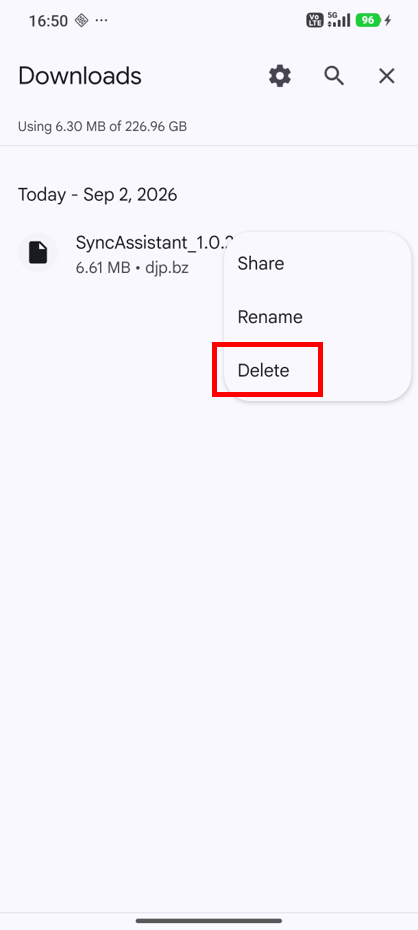 Delete Downloaded Files